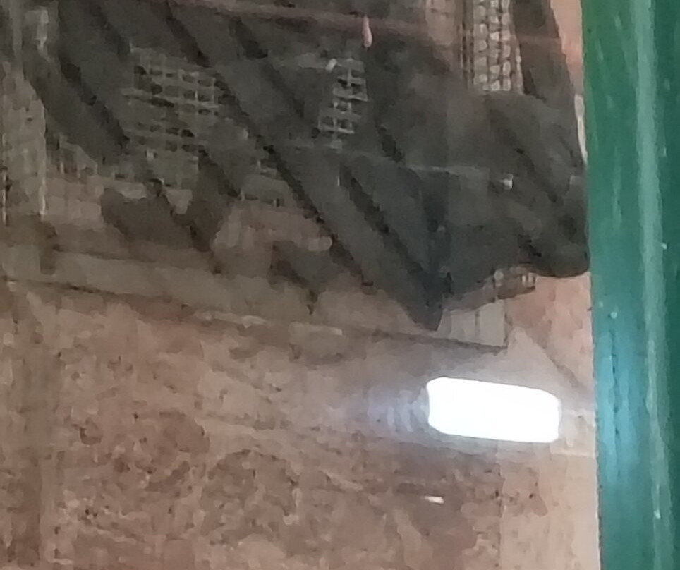 Voel Coaches-Dyserth必去景点