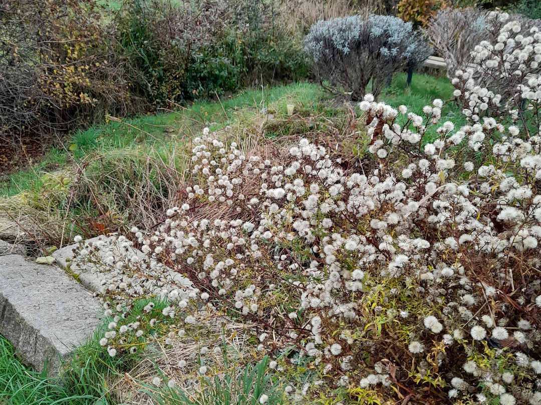 Molesey Heath Nature Reserve-West Molesey必去景点