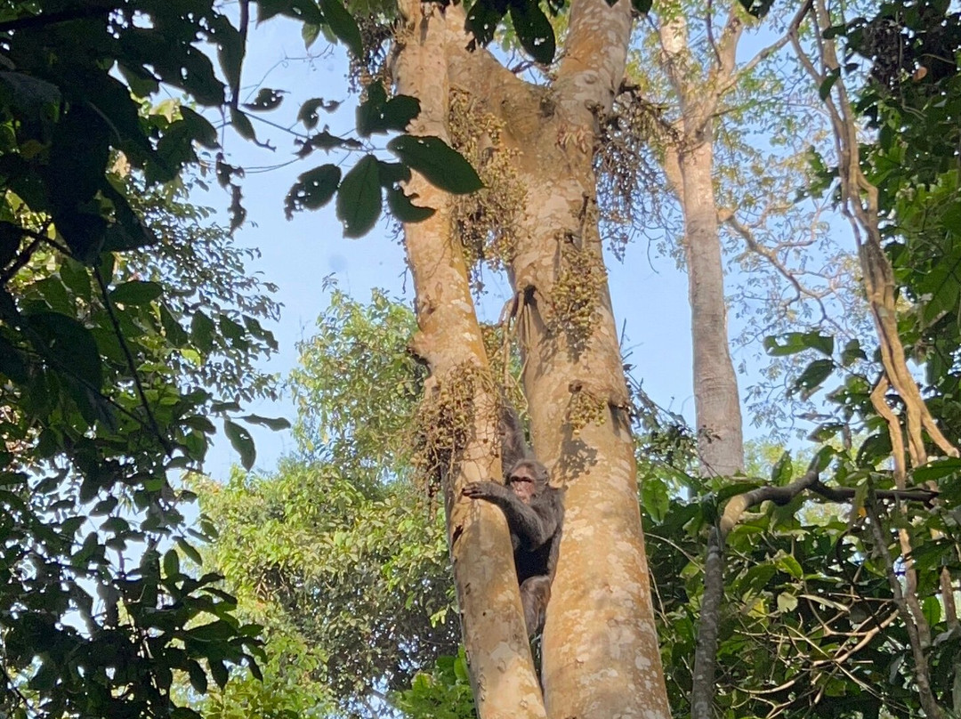 Trek Rwenzori Tours-Fort Portal必去景点