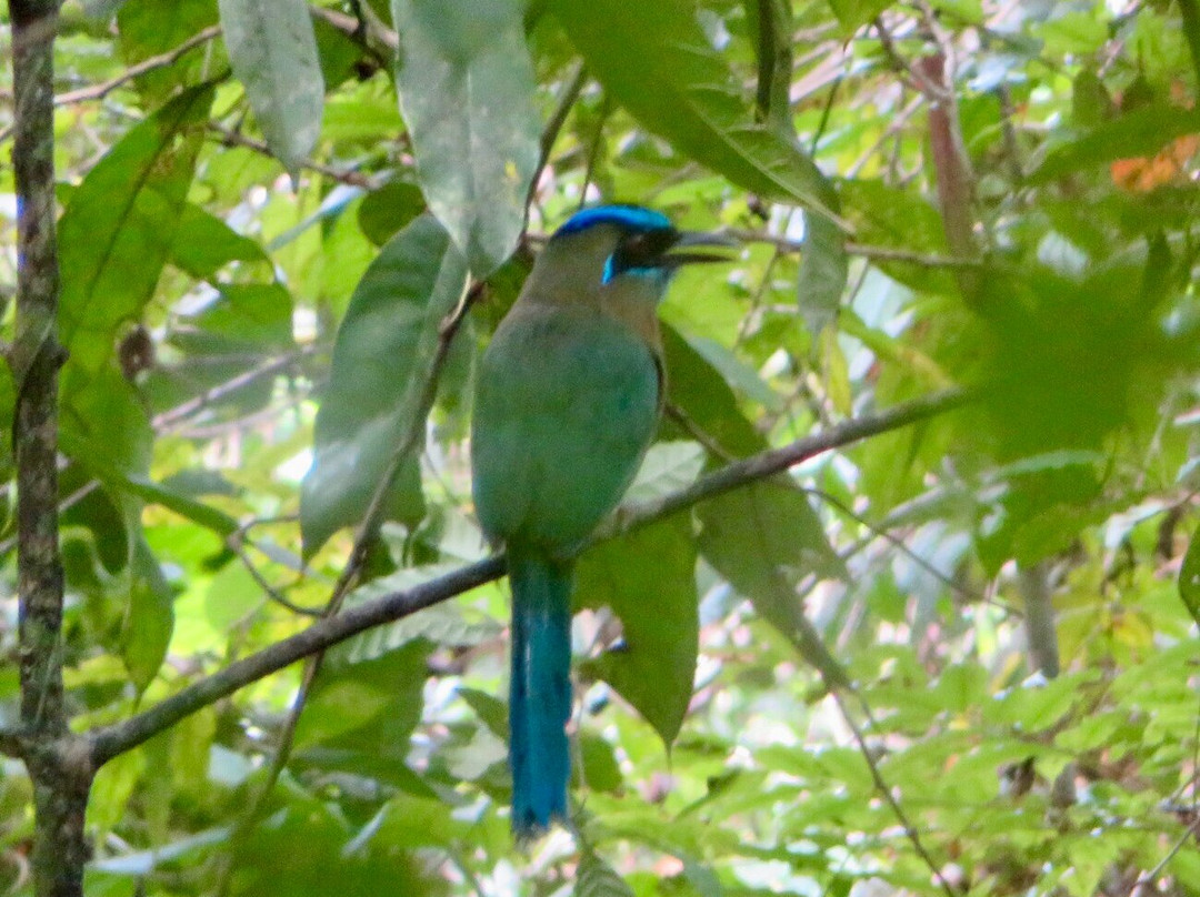 C. R. Referrals Travel-Atenas必去景点