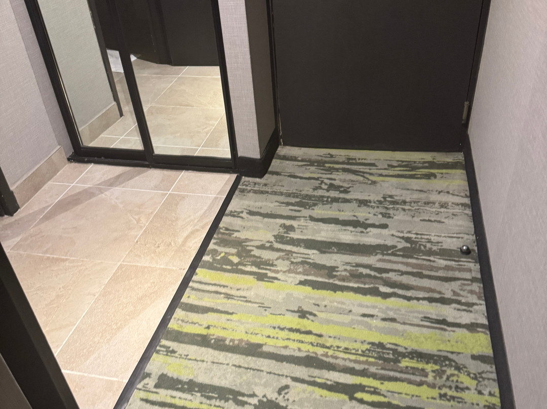 阿莱莎墨西卡利酒店主图