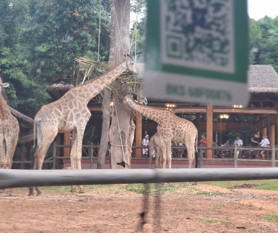 珍珠王国野生动物园-富国岛必去景点