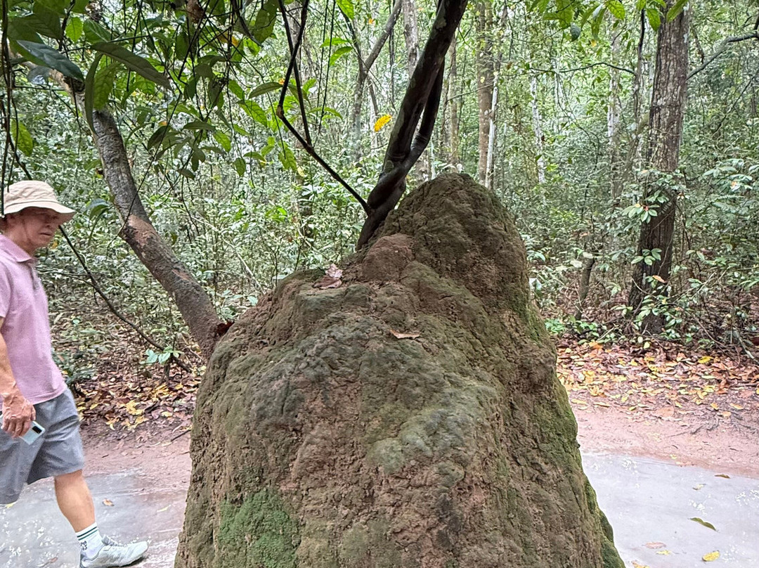 Kim Travel-胡志明市必去景点