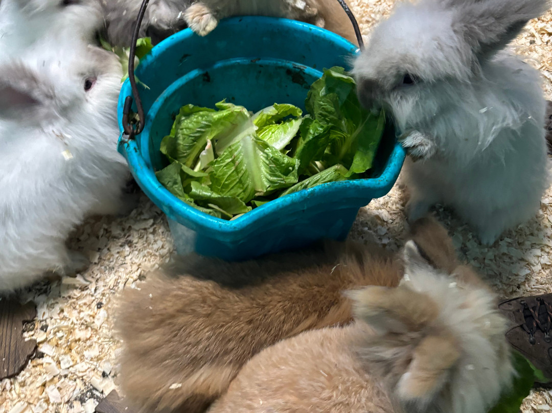 Farm Ventures-Roberts Creek必去景点