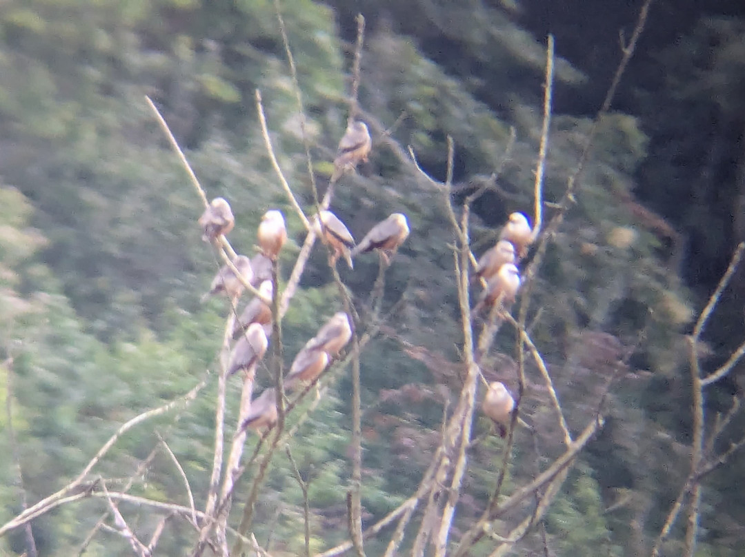 Periyar Cabs-Kumily必去景点