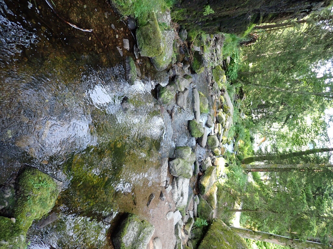 Menzenschwander Wasserfälle-Sankt Blasien必去景点