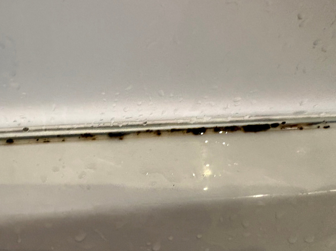 快捷假日德罗伊特威奇酒店主图