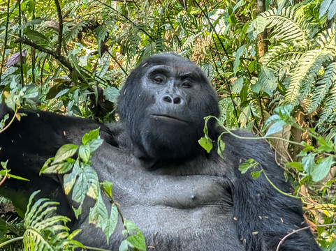Let's Go Travel-坎帕拉必去景点