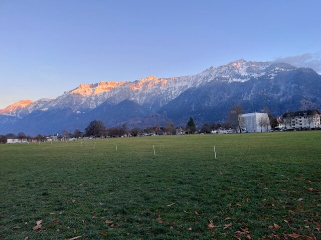 Hohematte Park-因特拉肯必去景点