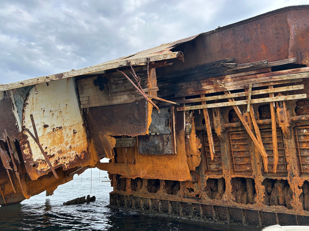 360 Excursions-沙姆沙伊赫必去景点