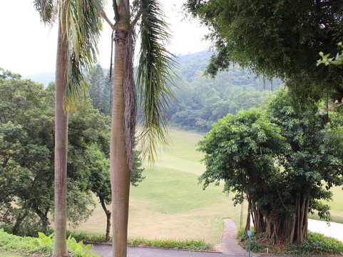 南沙高尔夫球会-广州市必去景点