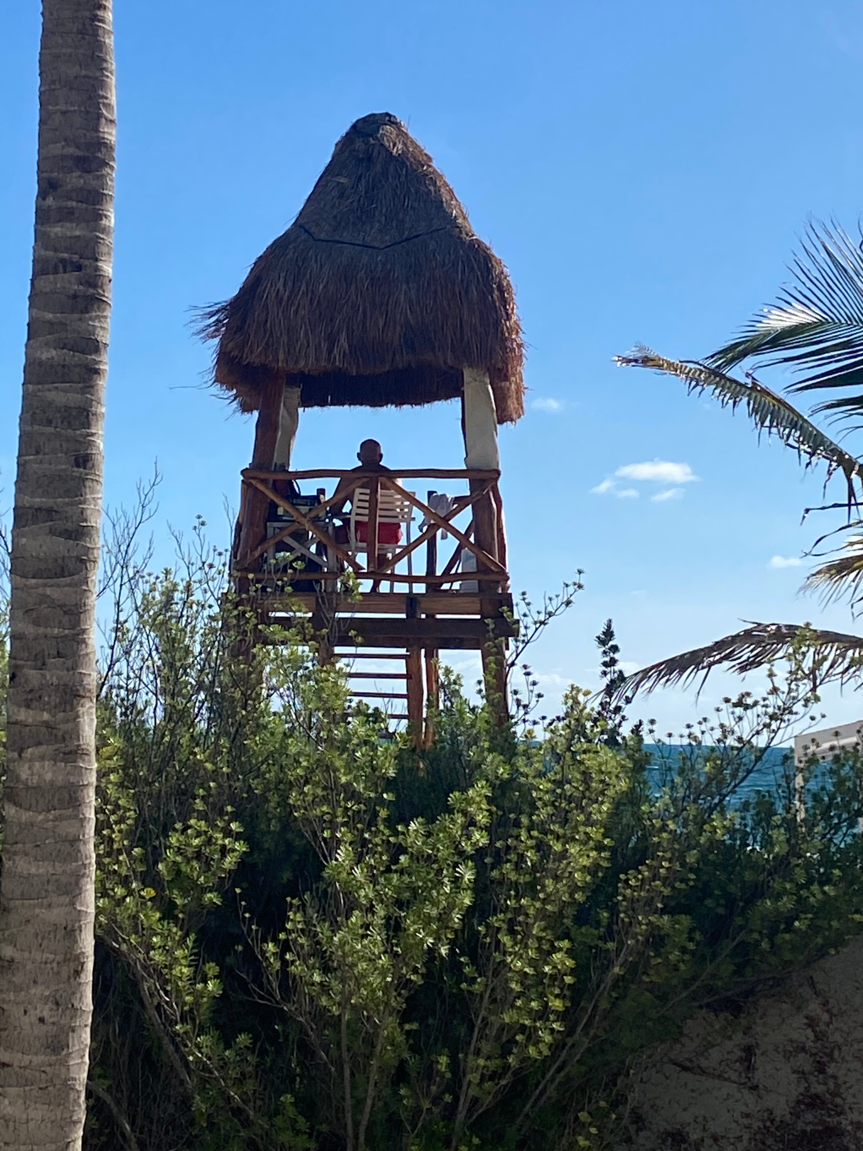 Majestic Elegance Costa Mujeres-泳池