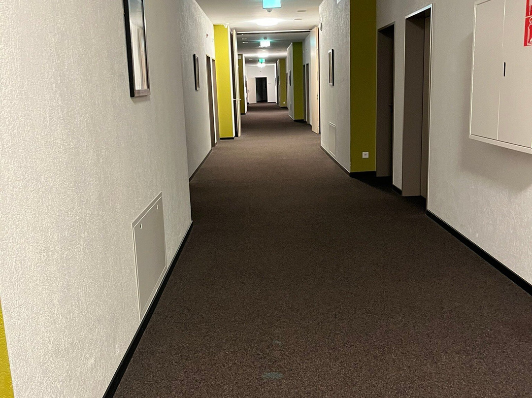 SwissEver Hotel Zug主图