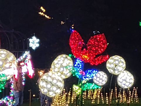 The North Carolina Arboretum-阿什维尔必去景点