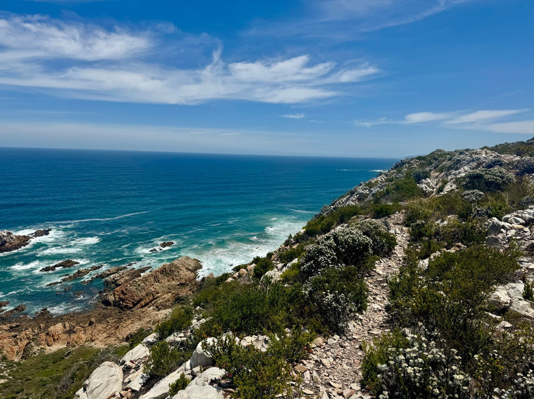 Kranshoek Hiking Trail-哈克城必去景点
