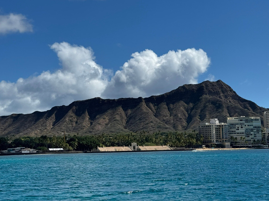 Iruka Hawaii Dolphin-火奴鲁鲁必去景点