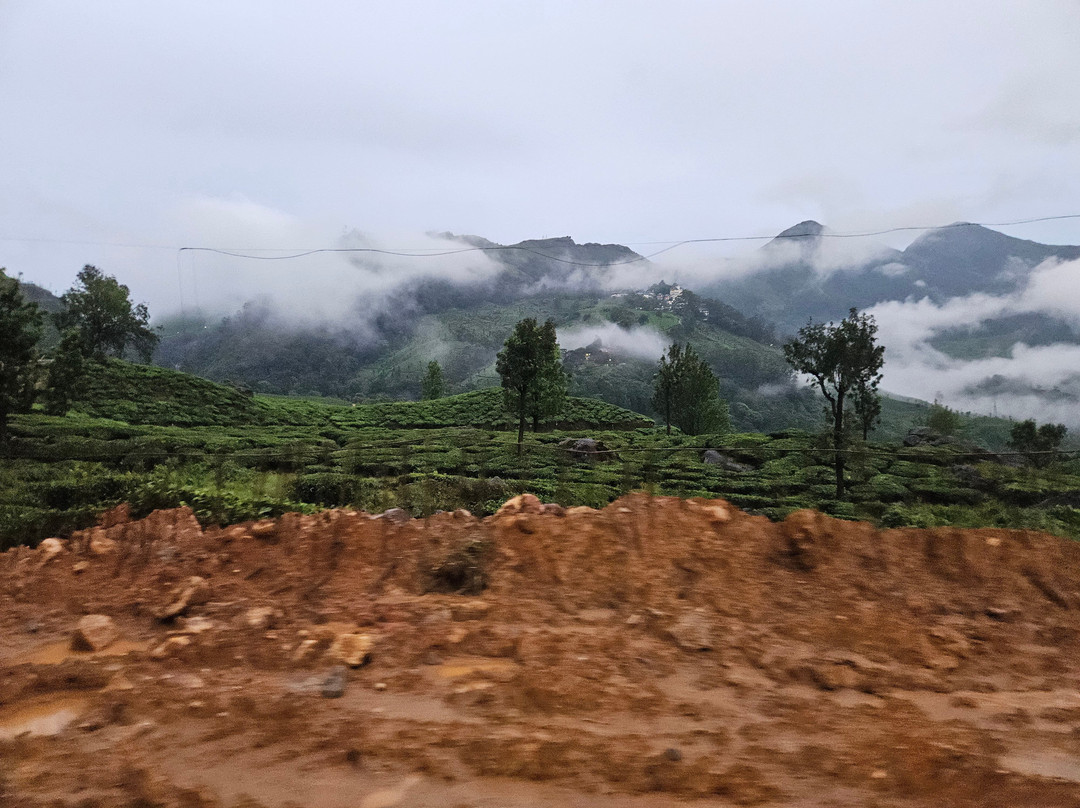 Experience Kerala Holiday Planners-柯钦必去景点