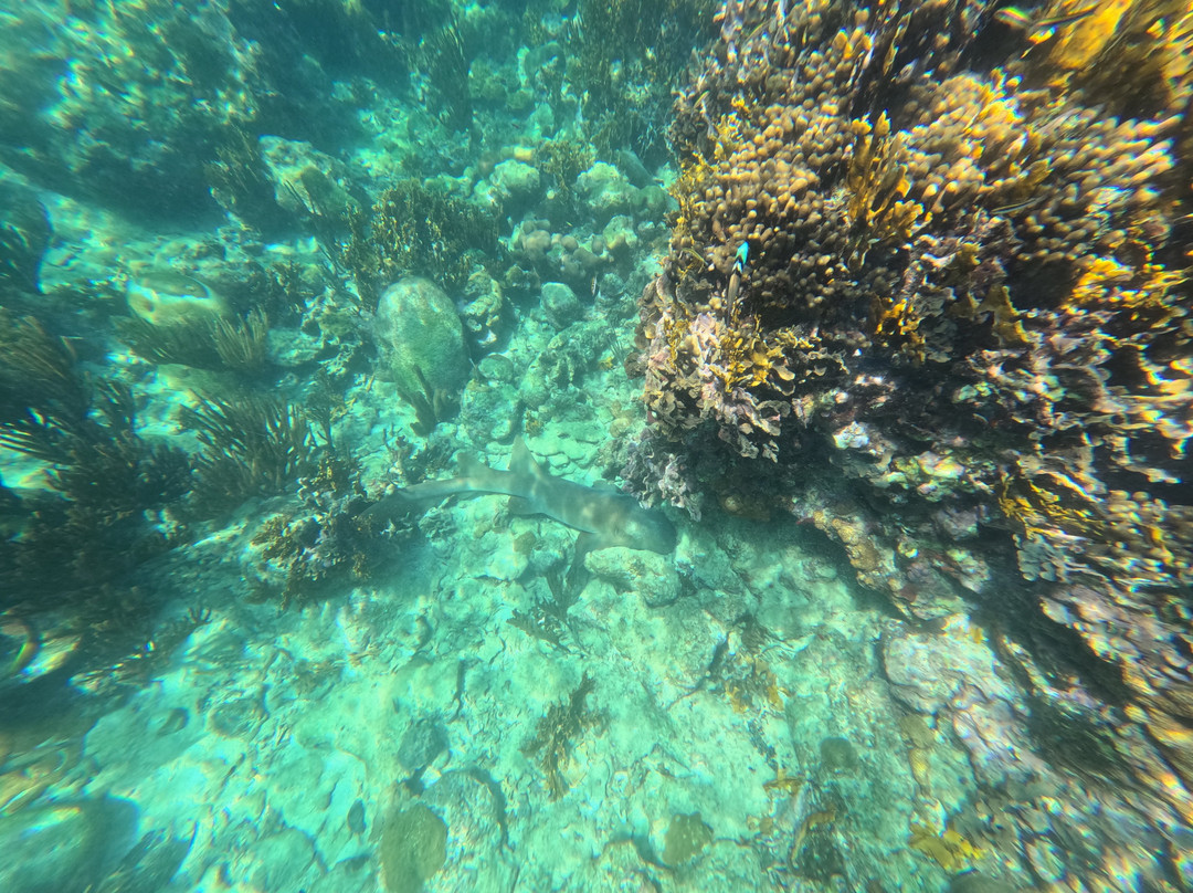 Quest Ocean Adventures-Puerto Lindo必去景点