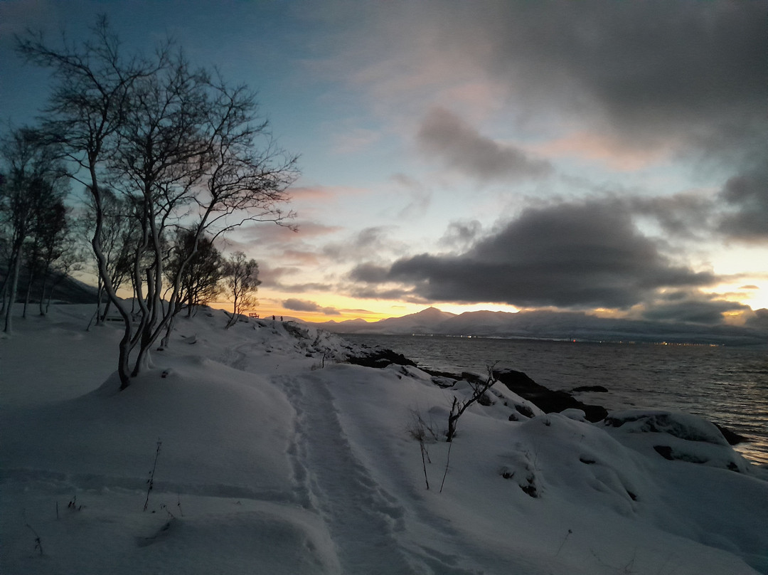 Tromsø Telegrafbukta-特罗姆瑟必去景点