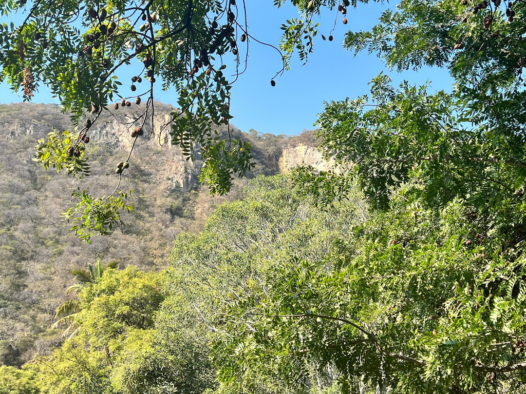 Hotel Agua Blanca主图