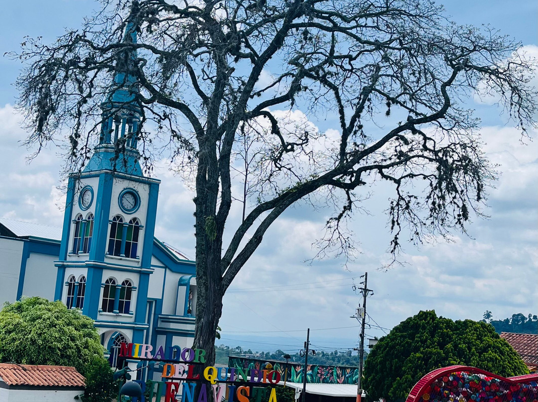 Cocora Trek Salento-萨伦托必去景点