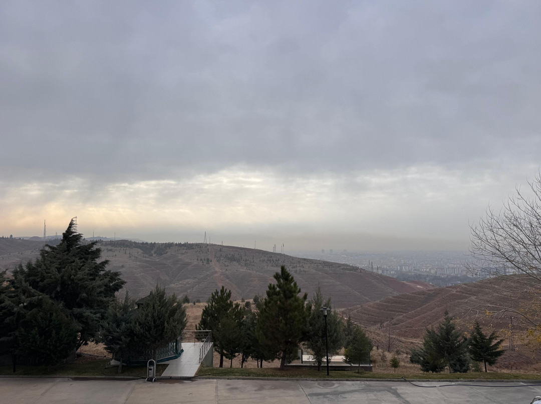 Grand Altuntas Hotel主图