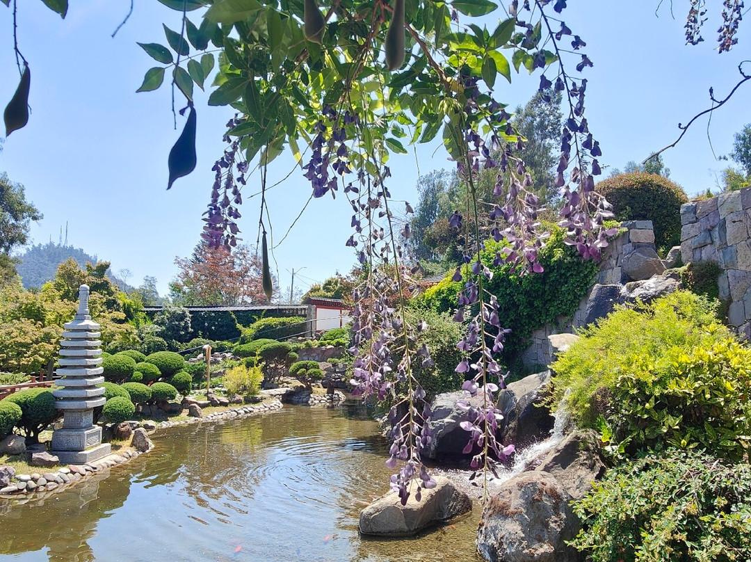 Jardin Japones Santiago De Chile-Providencia必去景点