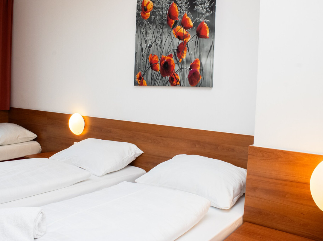 Oekotel Traiskirchen主图