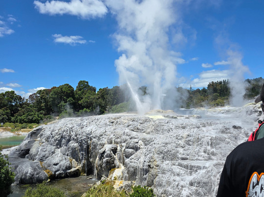 Smith Tour Company-陶兰加必去景点