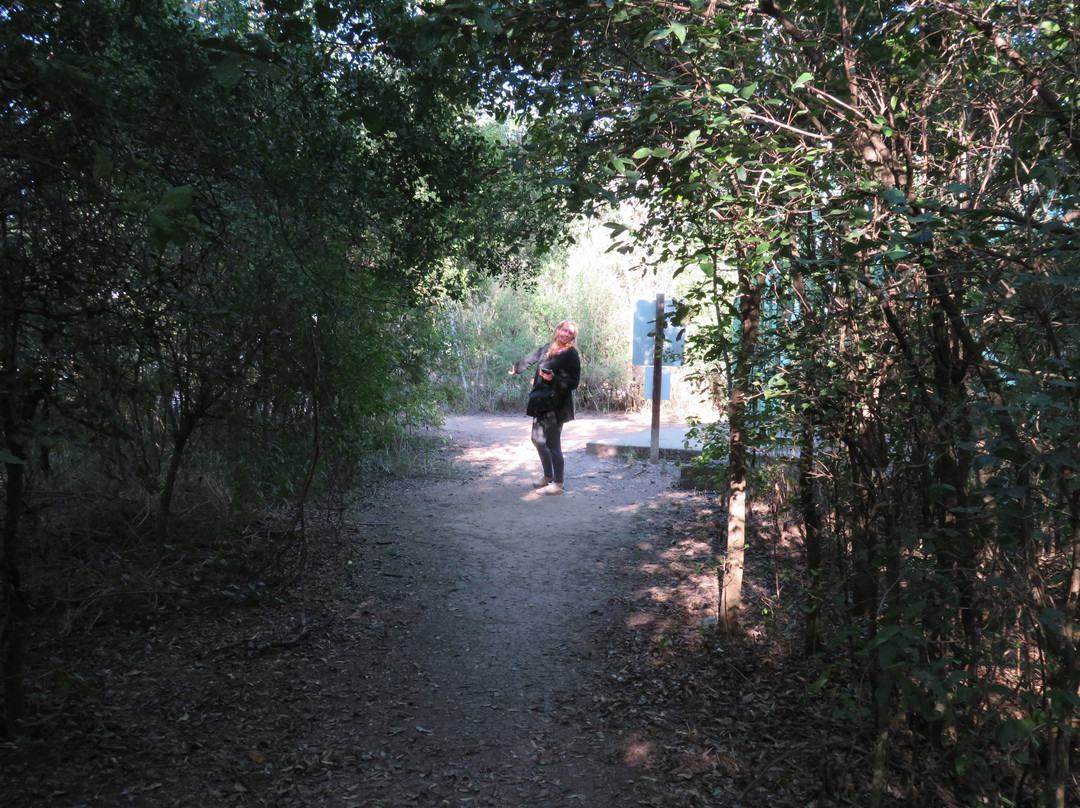 Santa Ana National Wildlife Refuge-Alamo必去景点