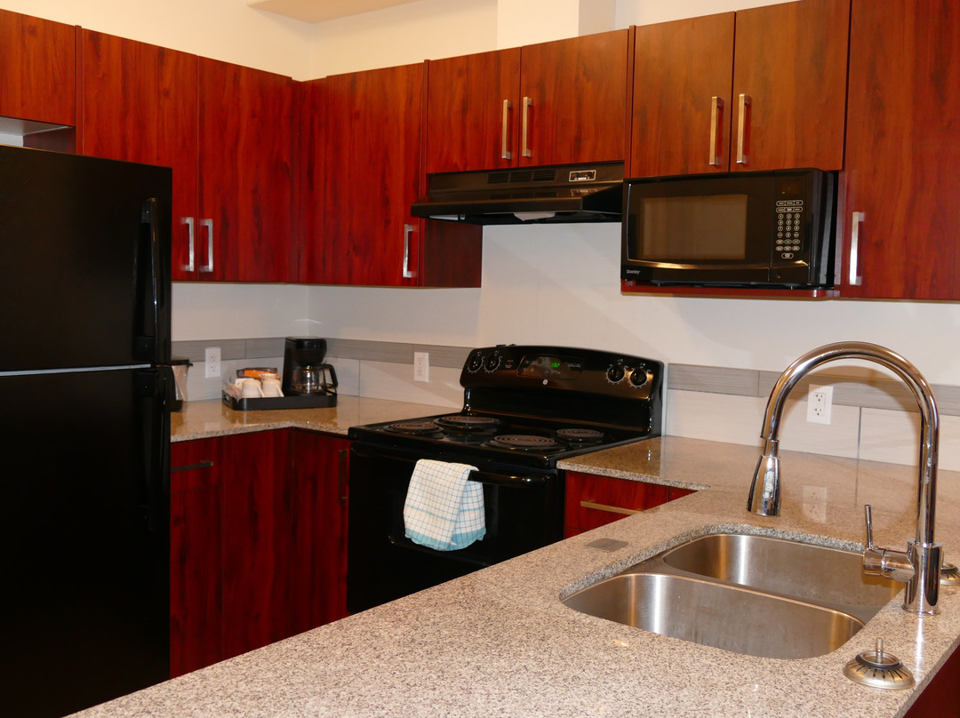 诺瓦耶洛奈夫城堡酒店主图