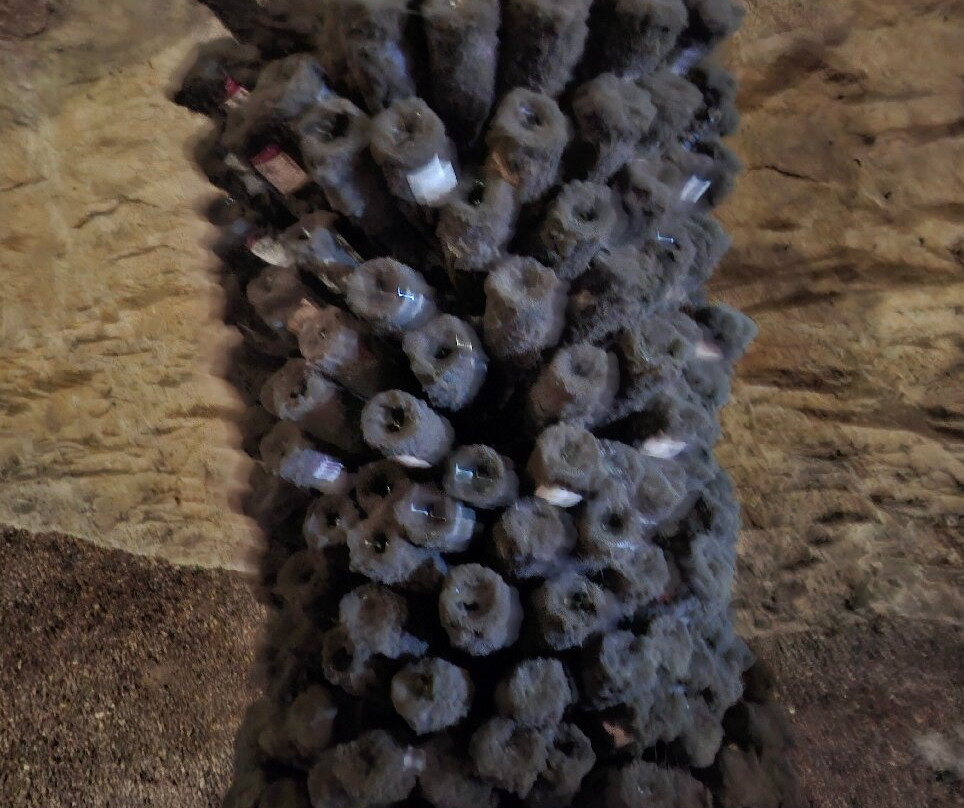 Cave Monplaisir-希农必去景点