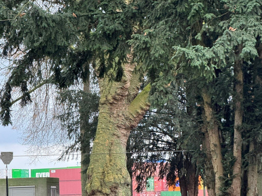 Rheinpark-Emmerich必去景点