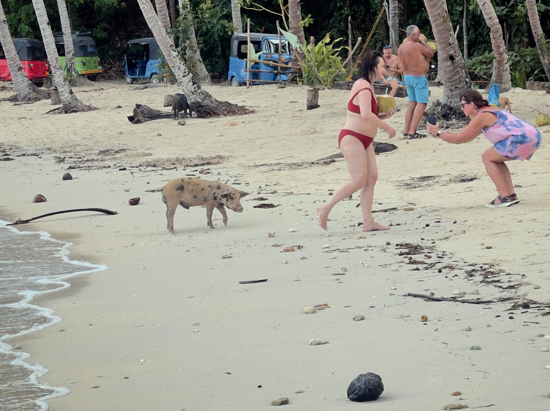 White Beach-巴顿港必去景点