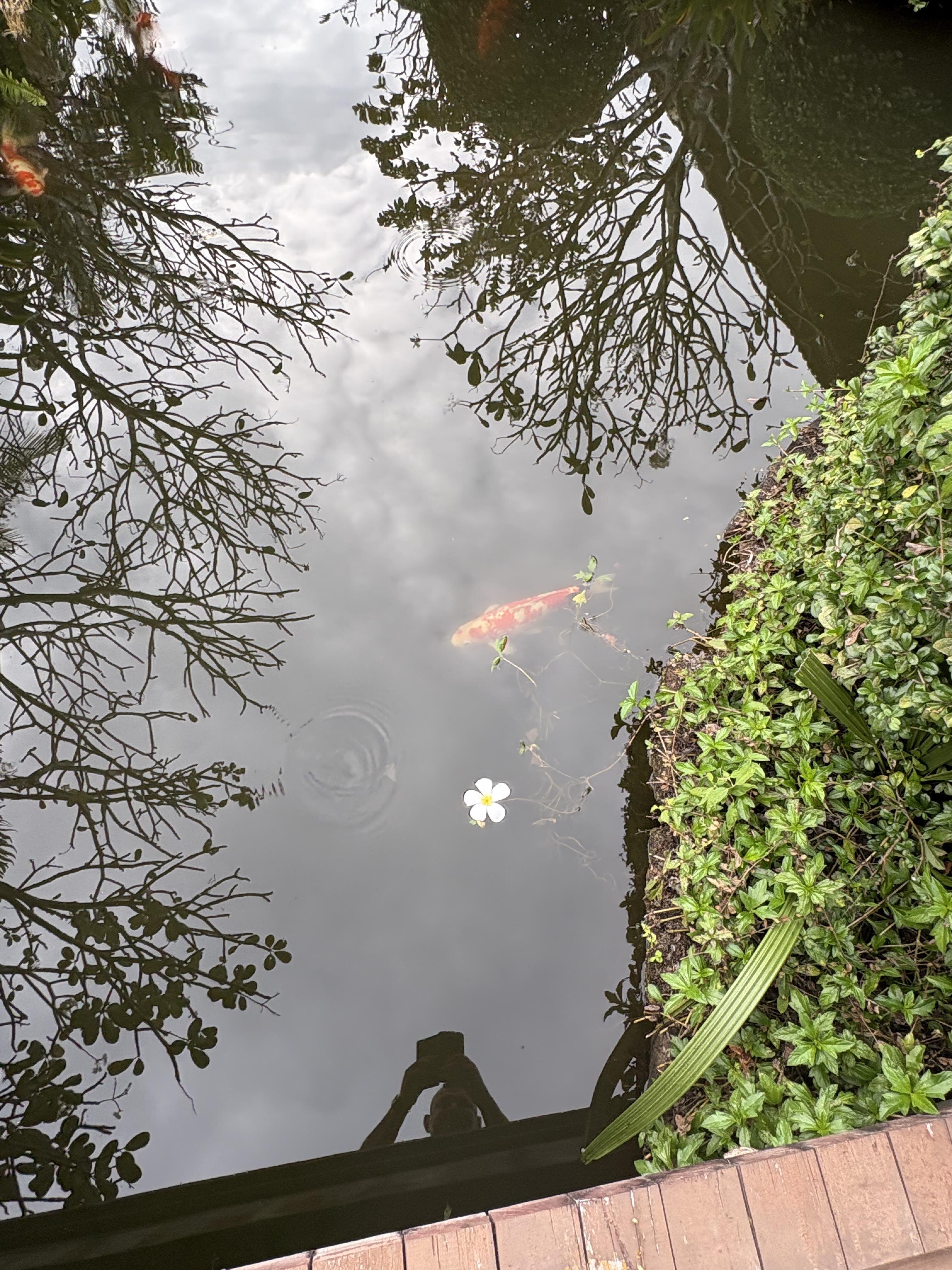 暹粒花园皇宫度假村-浴室