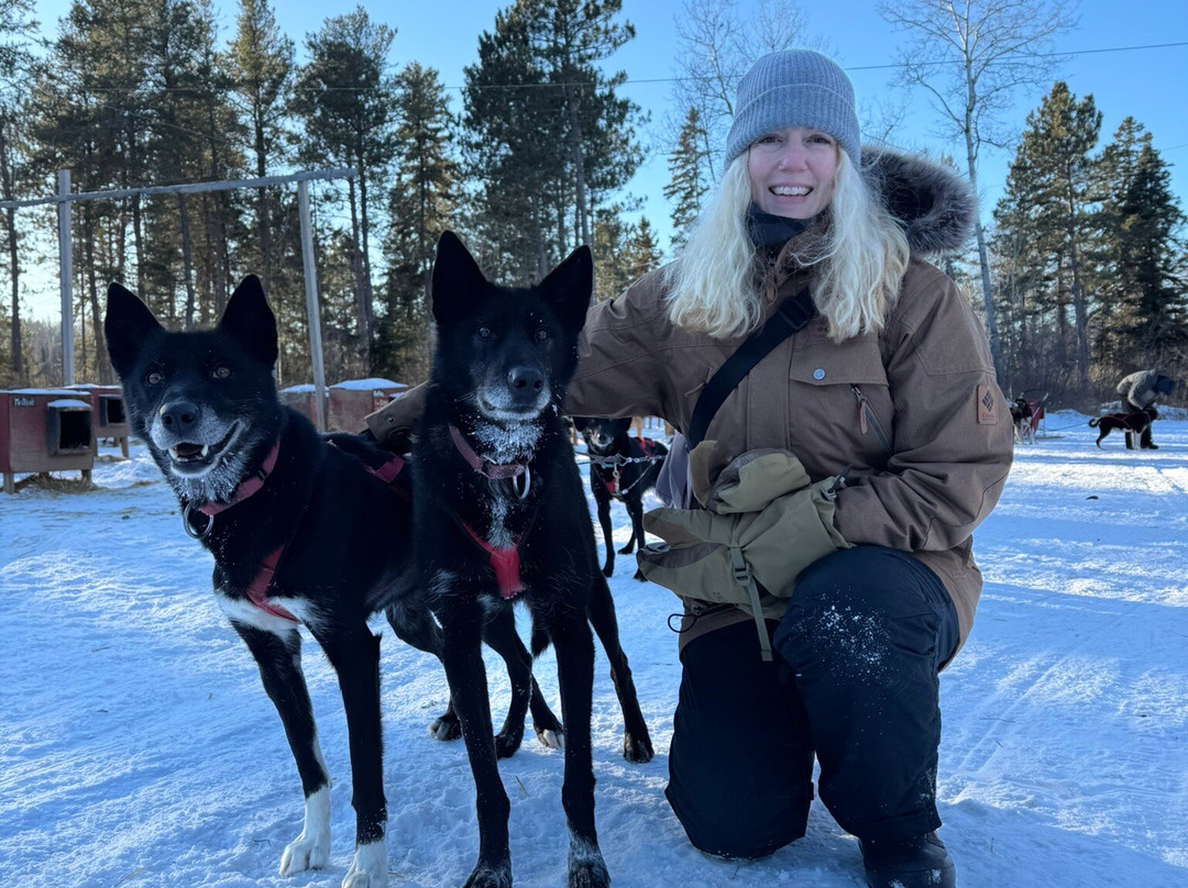 White Wilderness Sled Dog Adventures-伊利必去景点