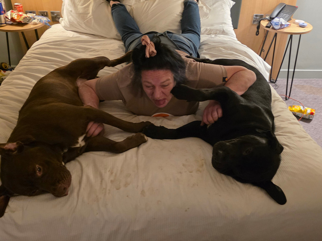 Hilton Garden Inn Doncaster Racecourse主图