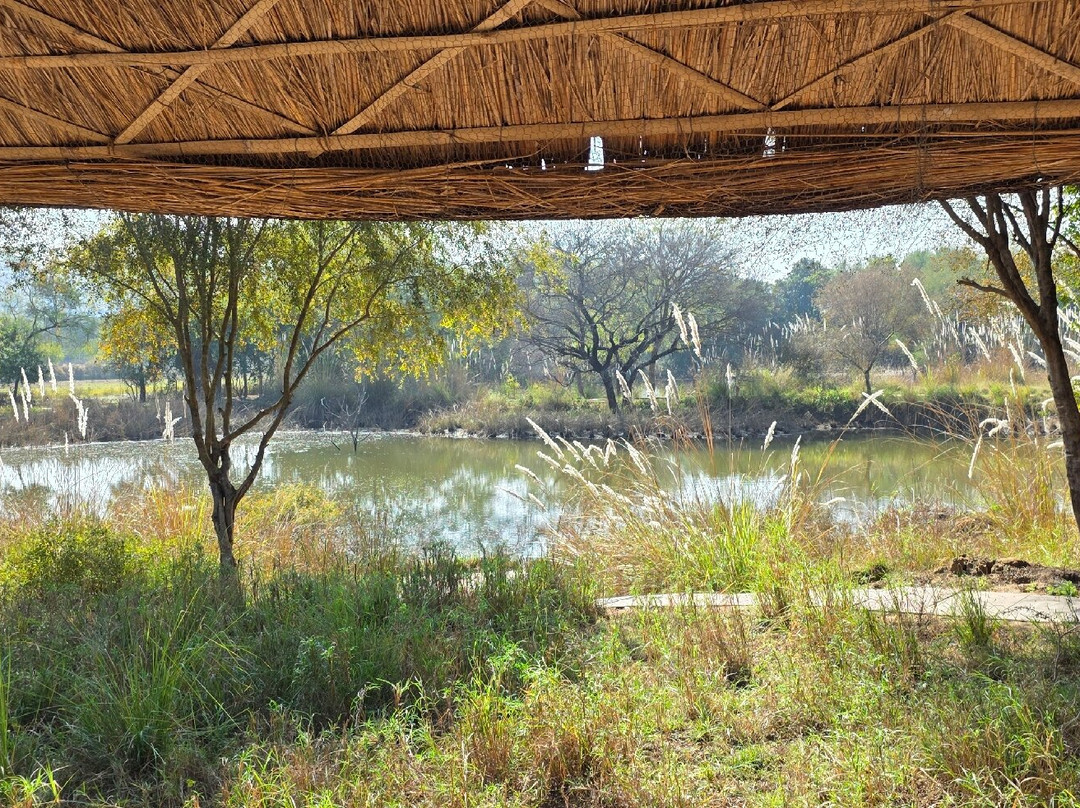 Khem Villas Ranthambore主图