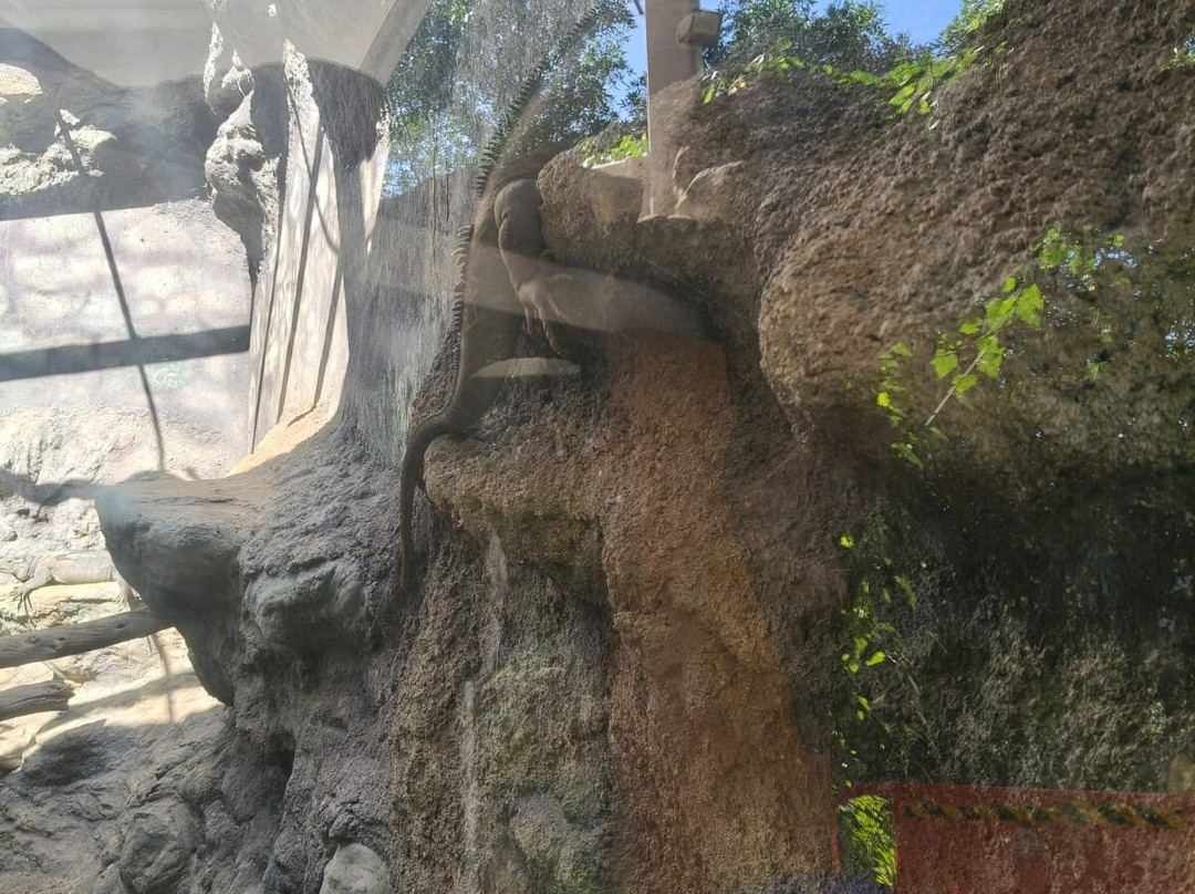 Sardar Patel Zoological Park-Kevadia必去景点