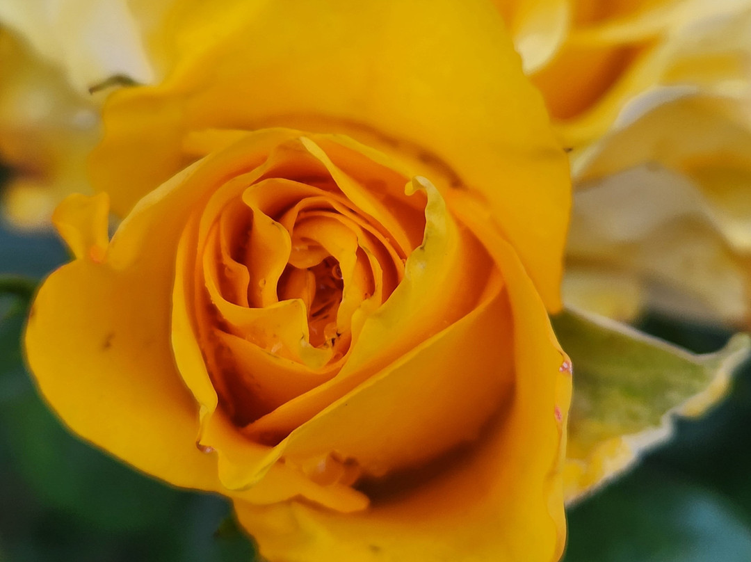 Pousada Pica-Pau主图