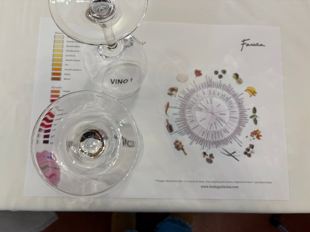 Bodegas Fariña-Toro必去景点