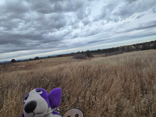 Castlewood Canyon State Park-Franktown必去景点