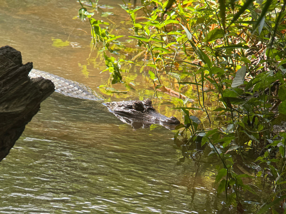 Eureka Natural History Tours-斯卡伯勒必去景点