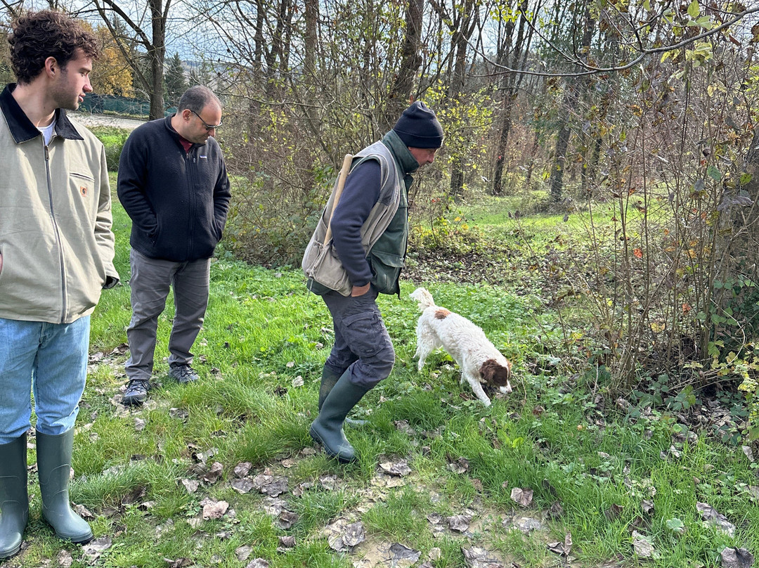 Truffle in Tuscany-圣米尼亚托必去景点