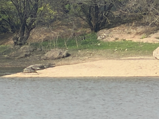 Trulyy The Jawai Leopard Kingdom主图