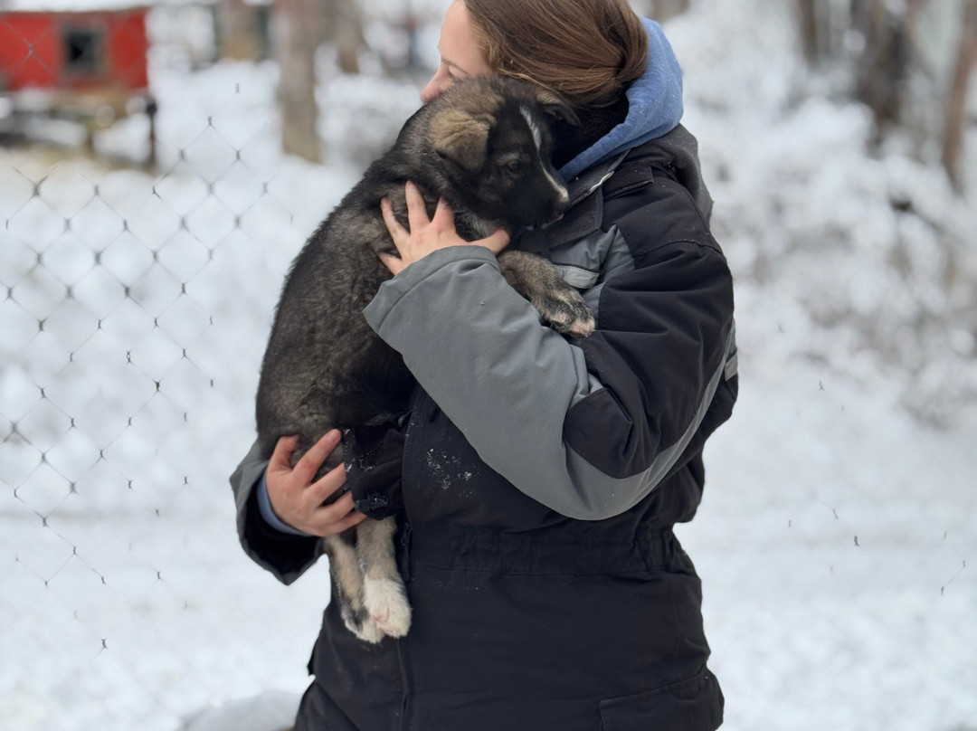 Snowhook Adventure Guides of Alaska-Willow必去景点