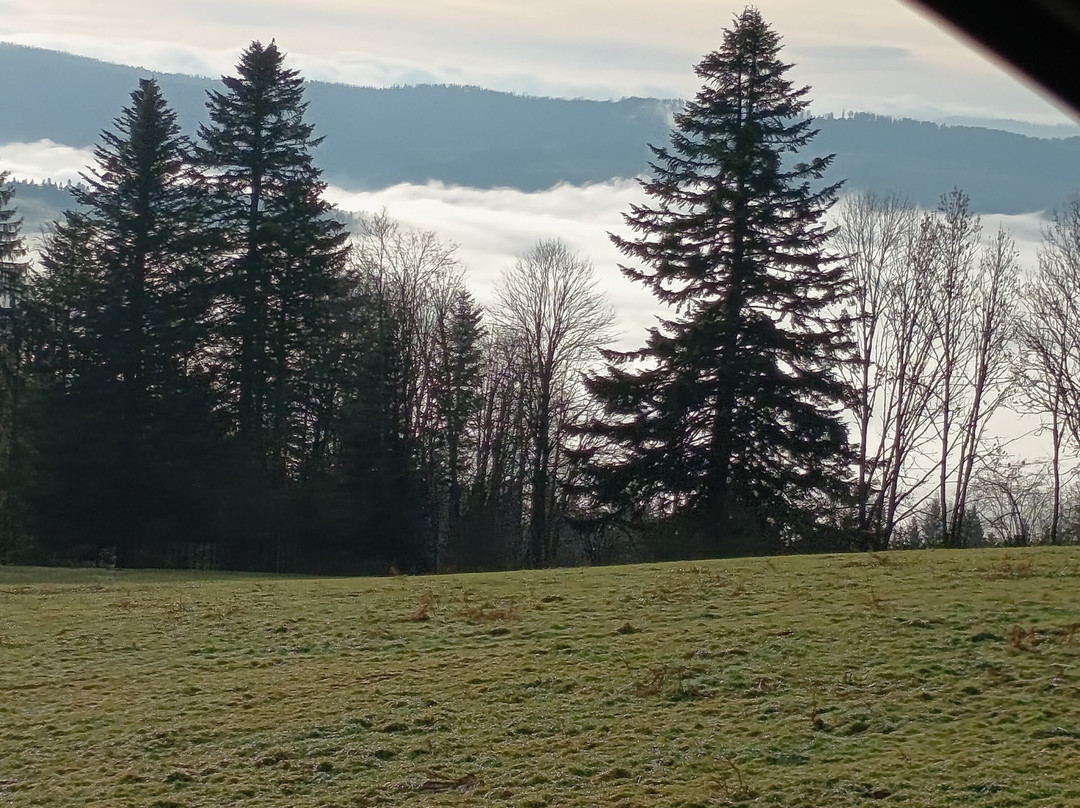 Belvédère du Mont Vouillot-Les Fins必去景点