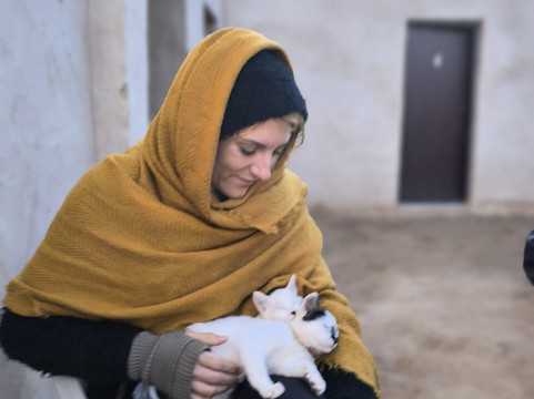 La Rose Nomade-迈哈米德必去景点