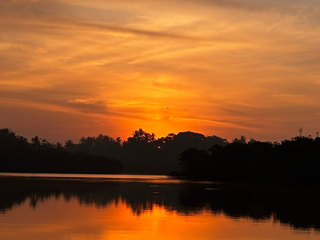 Mirissa Eco Lagoon Safari-美蕊沙必去景点