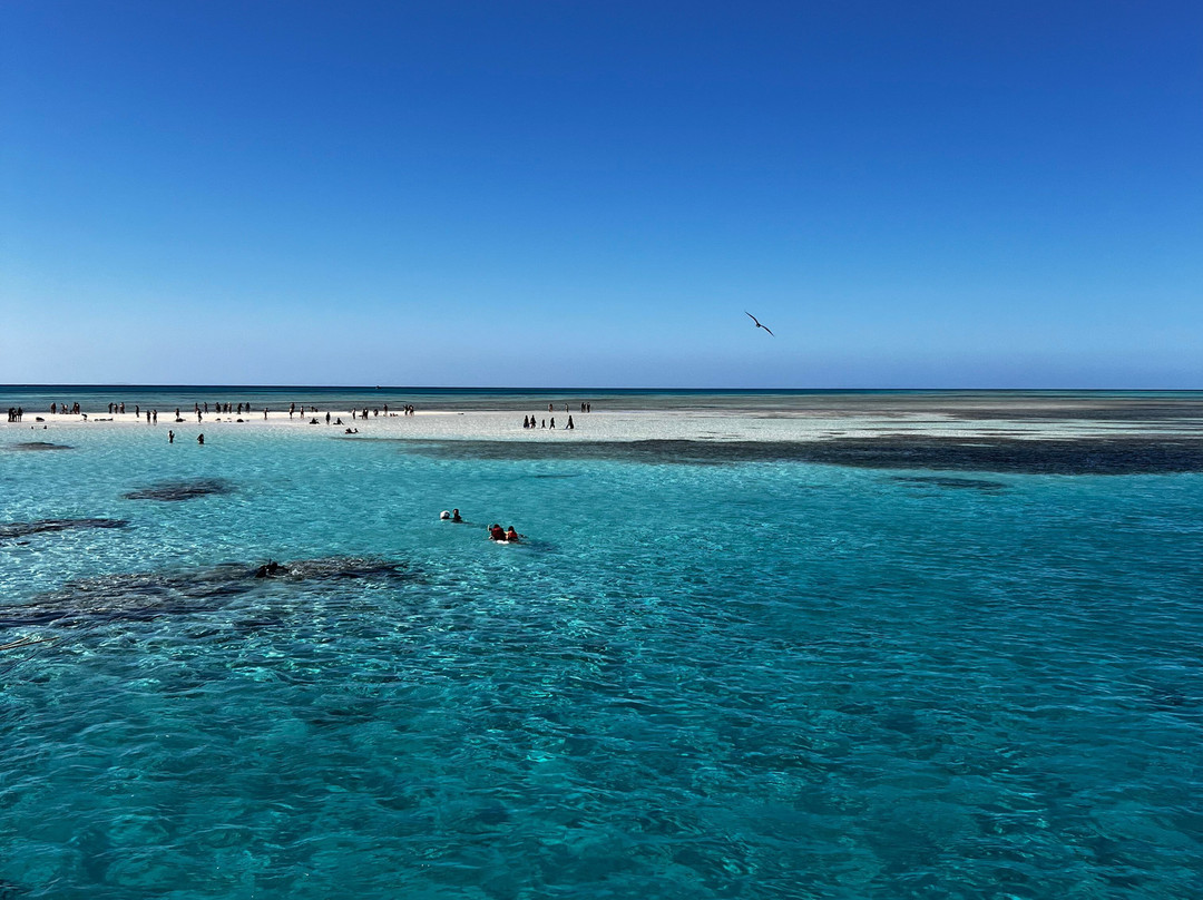 VIP Diving College-沙姆沙伊赫必去景点